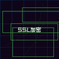 天下qipai 量子加密网络SSL安全认证